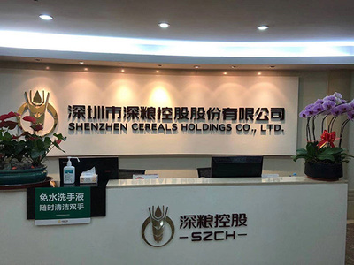 智联湾区，创领未来 深圳网络科技产业的崛起与新征程